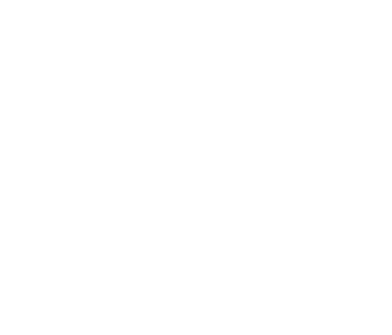 med_a3